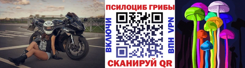 наркота  Белозерск  Галлюциногенные грибы Cubensis 